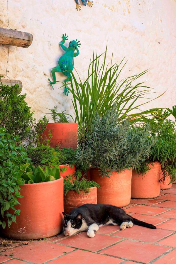 La Hacienda Hostel San Gil Ngoại thất bức ảnh