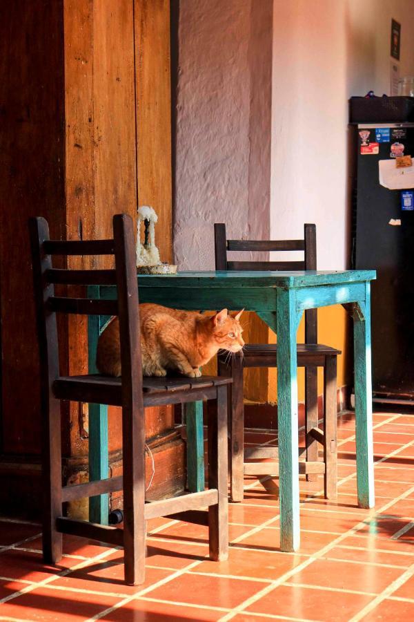 La Hacienda Hostel San Gil Ngoại thất bức ảnh